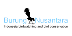 burungnusantara