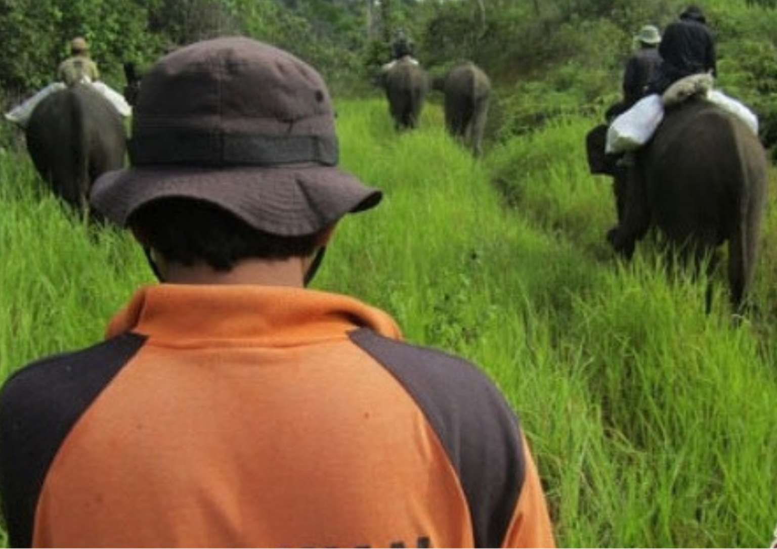 Penataan Jalur Ekowisata Berbasis Pengamatan Satwa Liar di TWA Seblat twa seblat report (2)