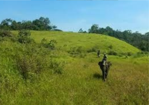 Penataan Jalur Ekowisata Berbasis Pengamatan Satwa Liar di TWA Seblat