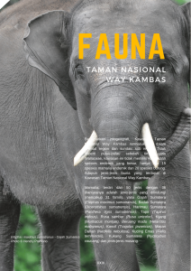 Buku Burung: Bertengger di Rumah Gajah buku tnwk (intro)