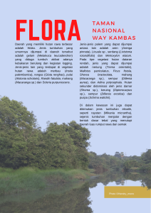 Buku Burung: Bertengger di Rumah Gajah flora di way kambas